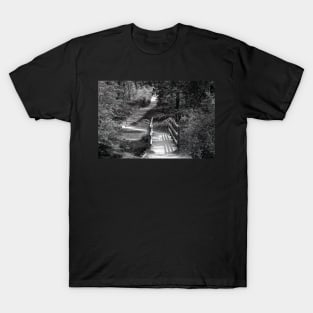 a bridge to nowhere T-Shirt